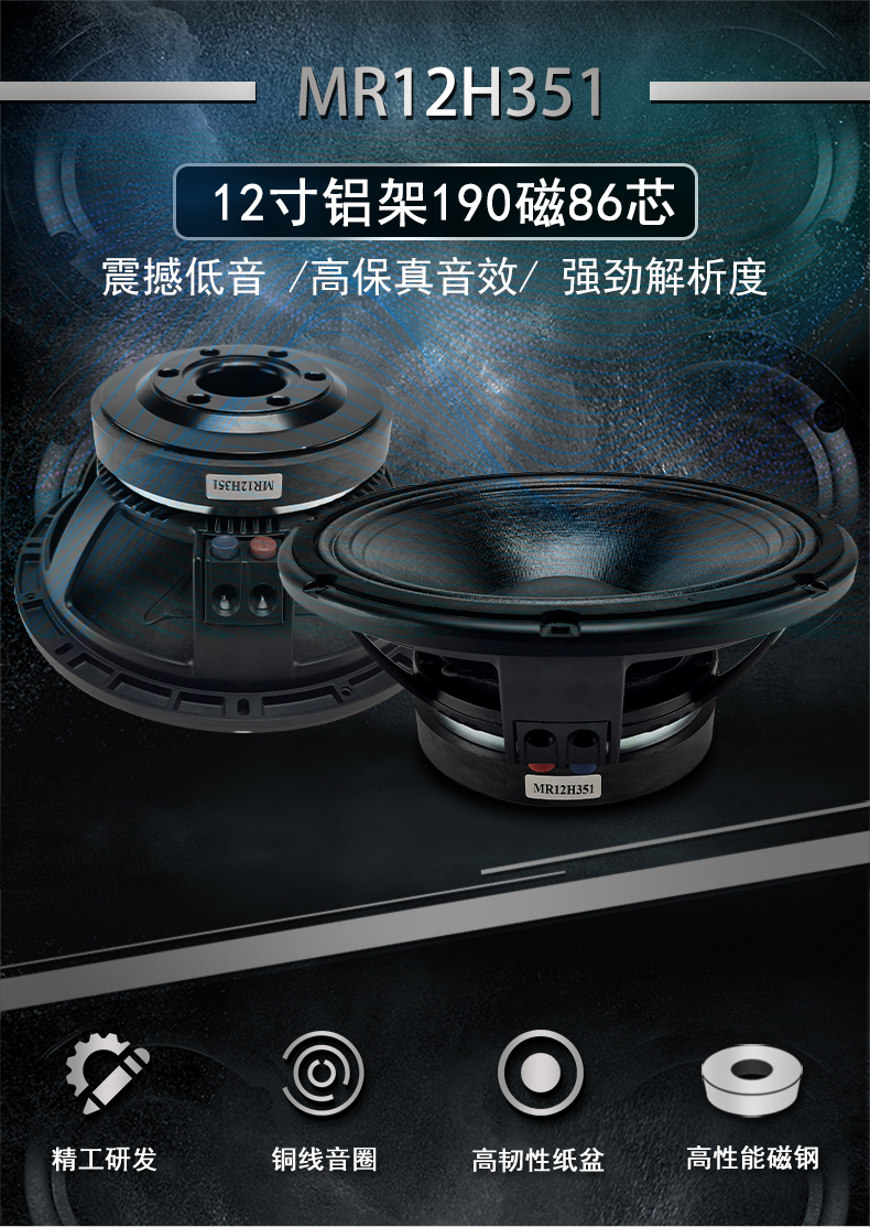 廣州精品国产a毛片久久久av蜜桃12寸喇叭單元