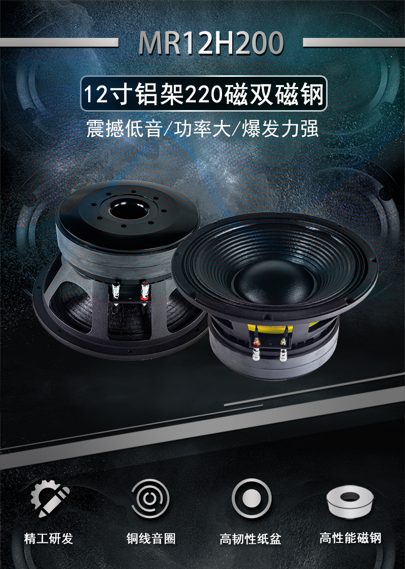 12寸低音喇叭單元（yuán）